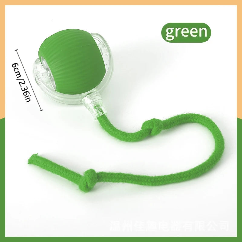 Smart Interactive Pet Ball Toy