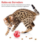 Cat Treat Dispensing Ball