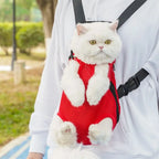 Mesh Pet Carrier Backpack