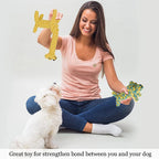 Cartoon Animal Dog Rope Toy