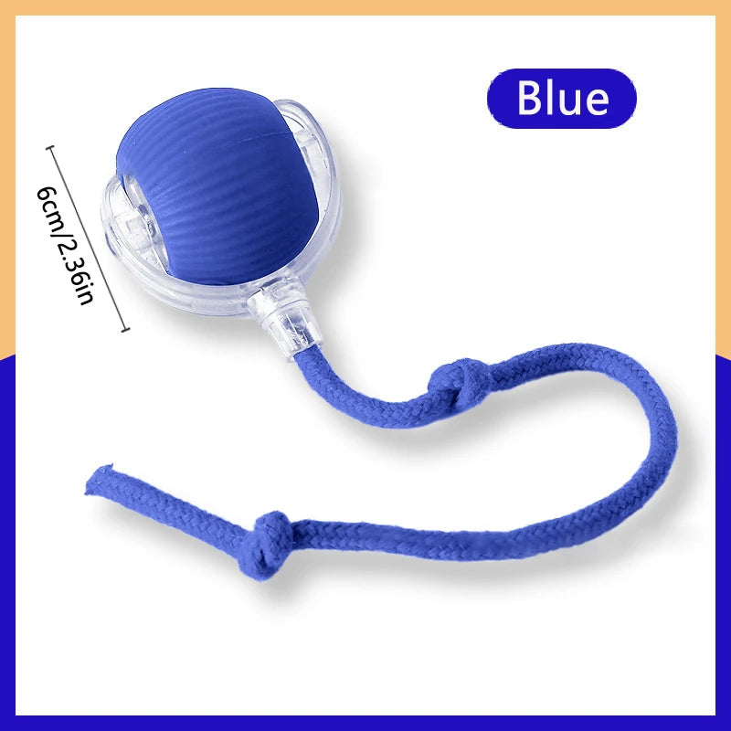 Smart Interactive Pet Ball Toy
