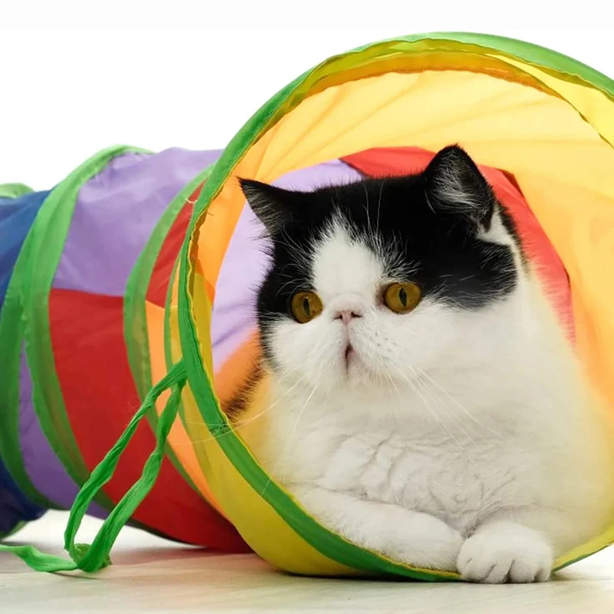 Foldable Cat Tunnel Toy
