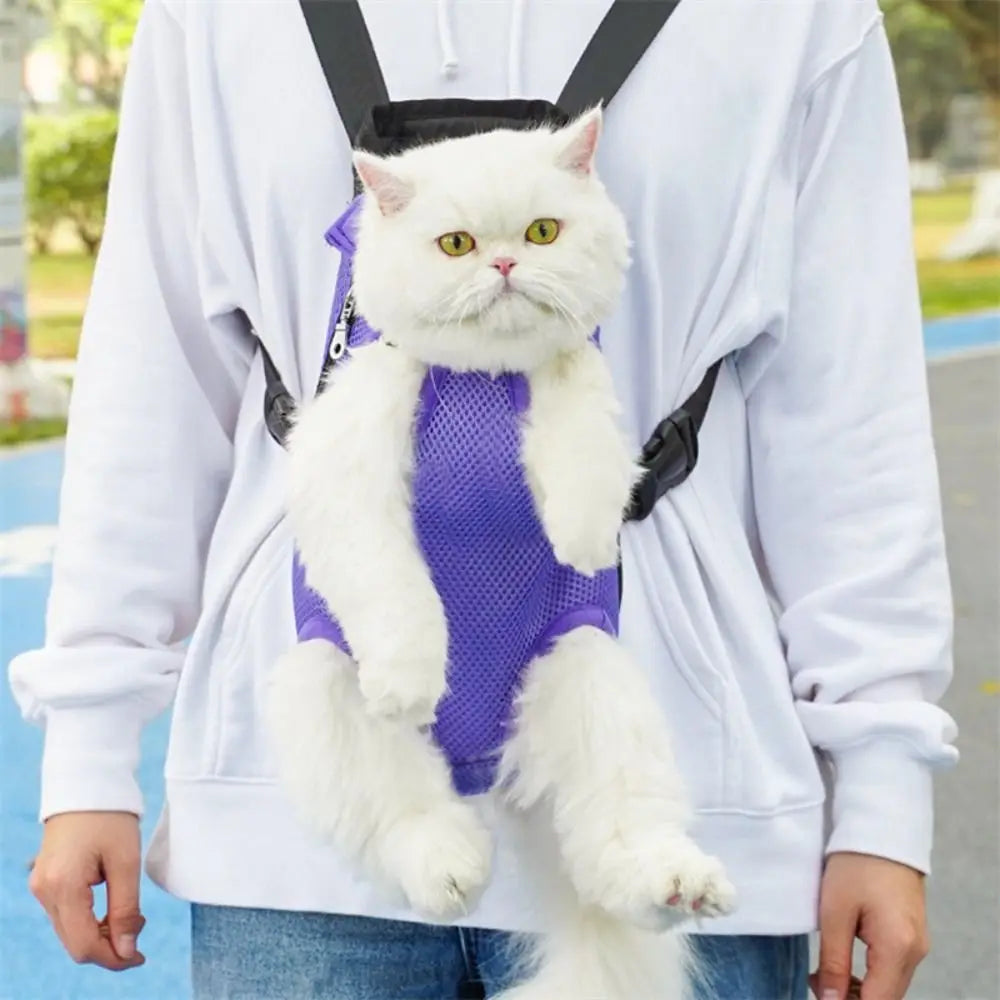 Mesh Pet Carrier Backpack