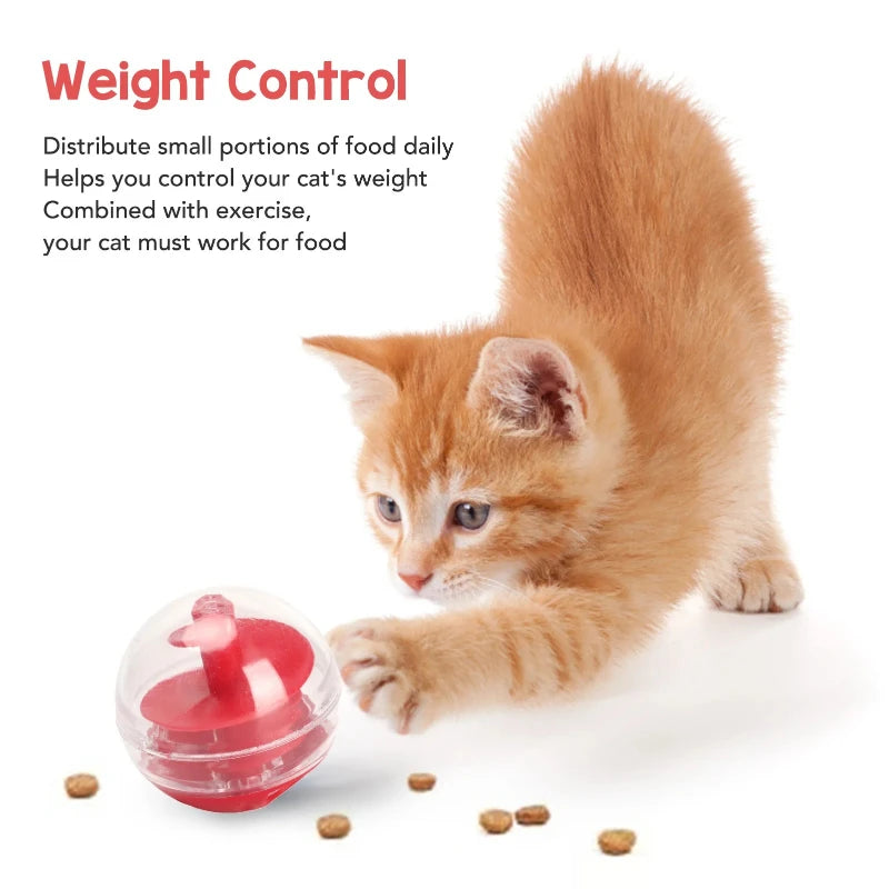 Cat Treat Dispensing Ball