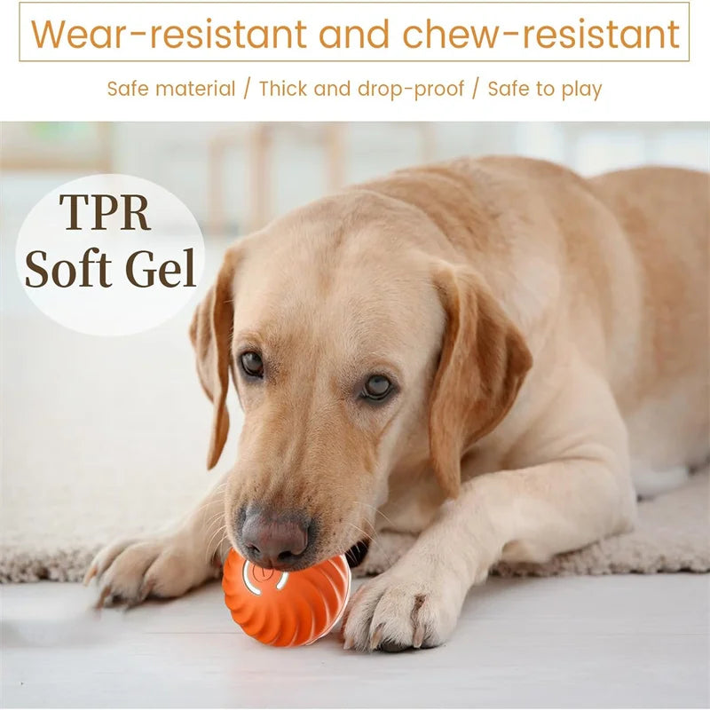 Smart Interactive Pet Ball Toy