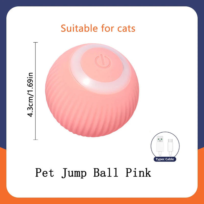 Smart Interactive Pet Ball Toy