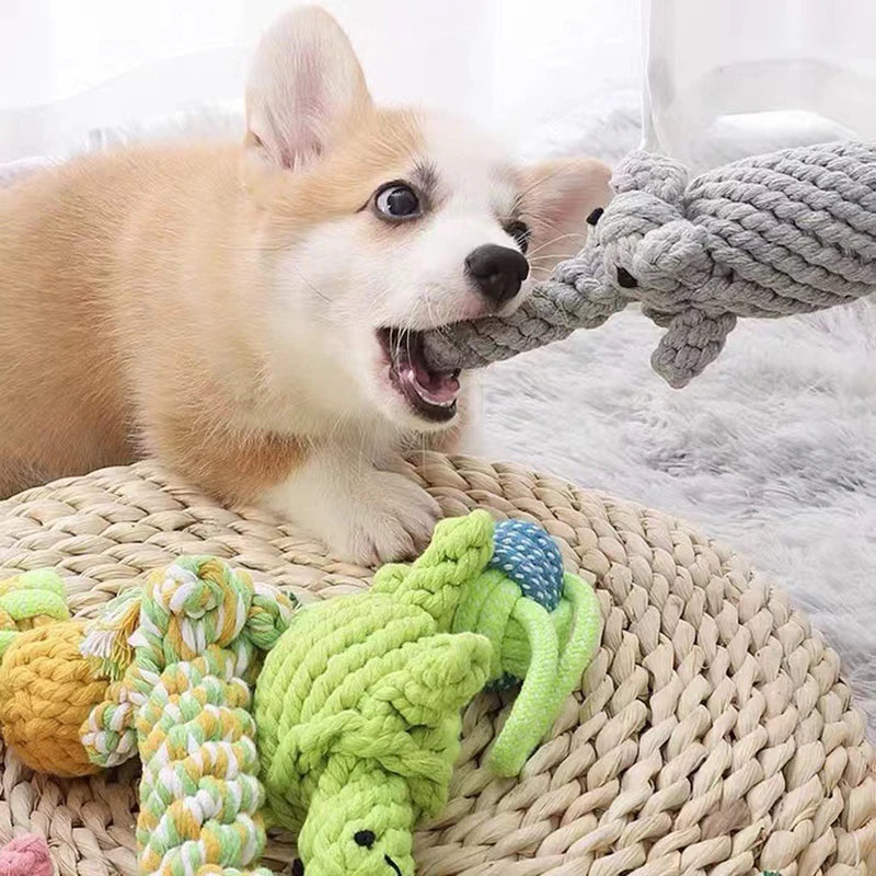 Cartoon Animal Dog Rope Toy