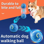 Smart Interactive Pet Ball Toy