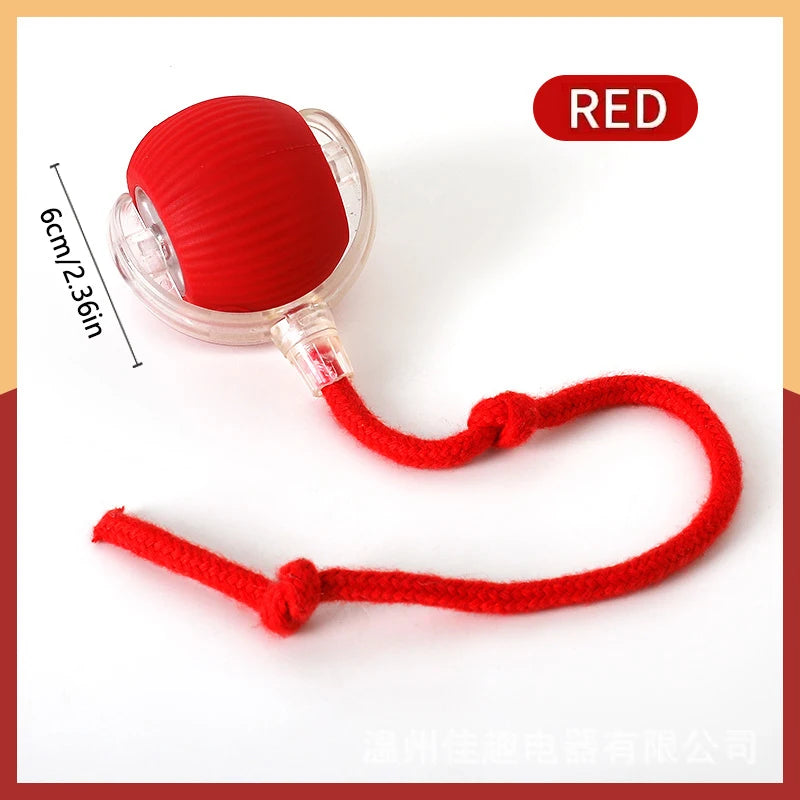 Smart Interactive Pet Ball Toy