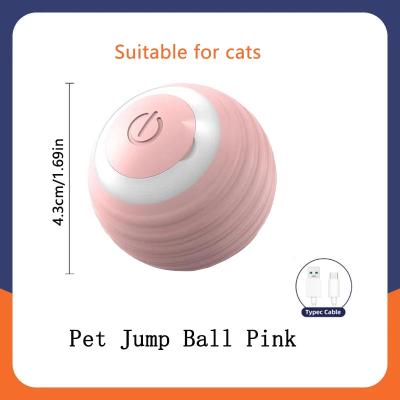 Smart Interactive Pet Ball Toy